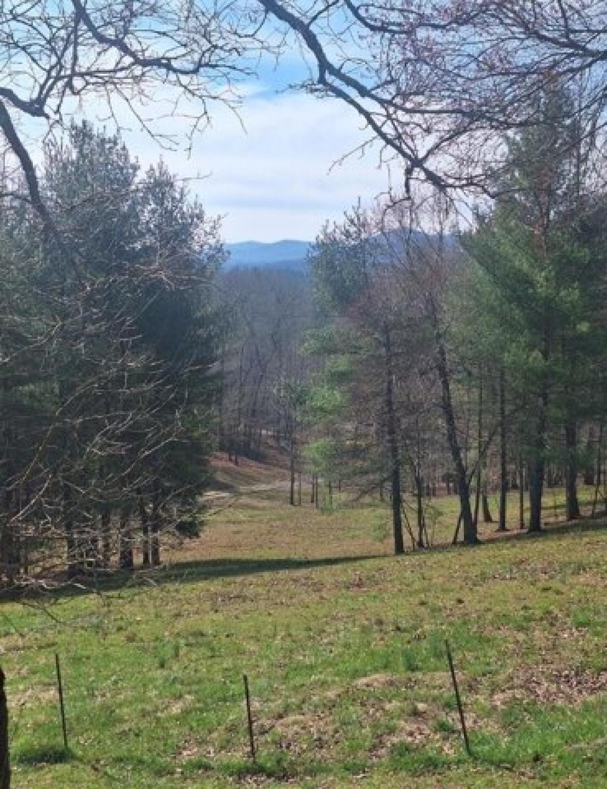 Picture of Residential Land For Sale in Blue Ridge, Georgia, United States