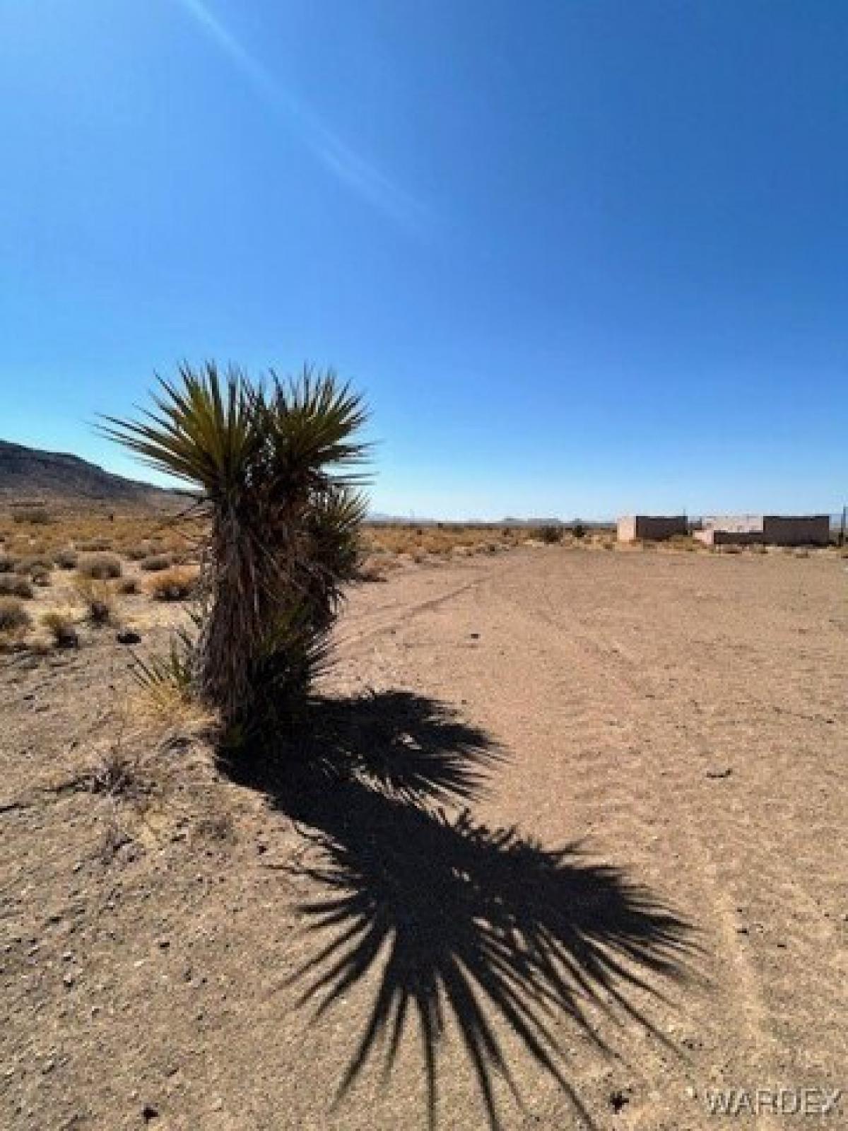 Picture of Residential Land For Sale in Golden Valley, Arizona, United States