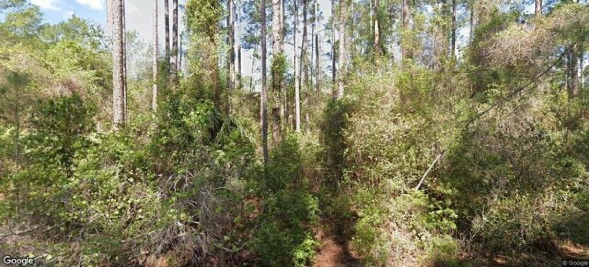 Picture of Residential Land For Sale in Georgetown, Florida, United States