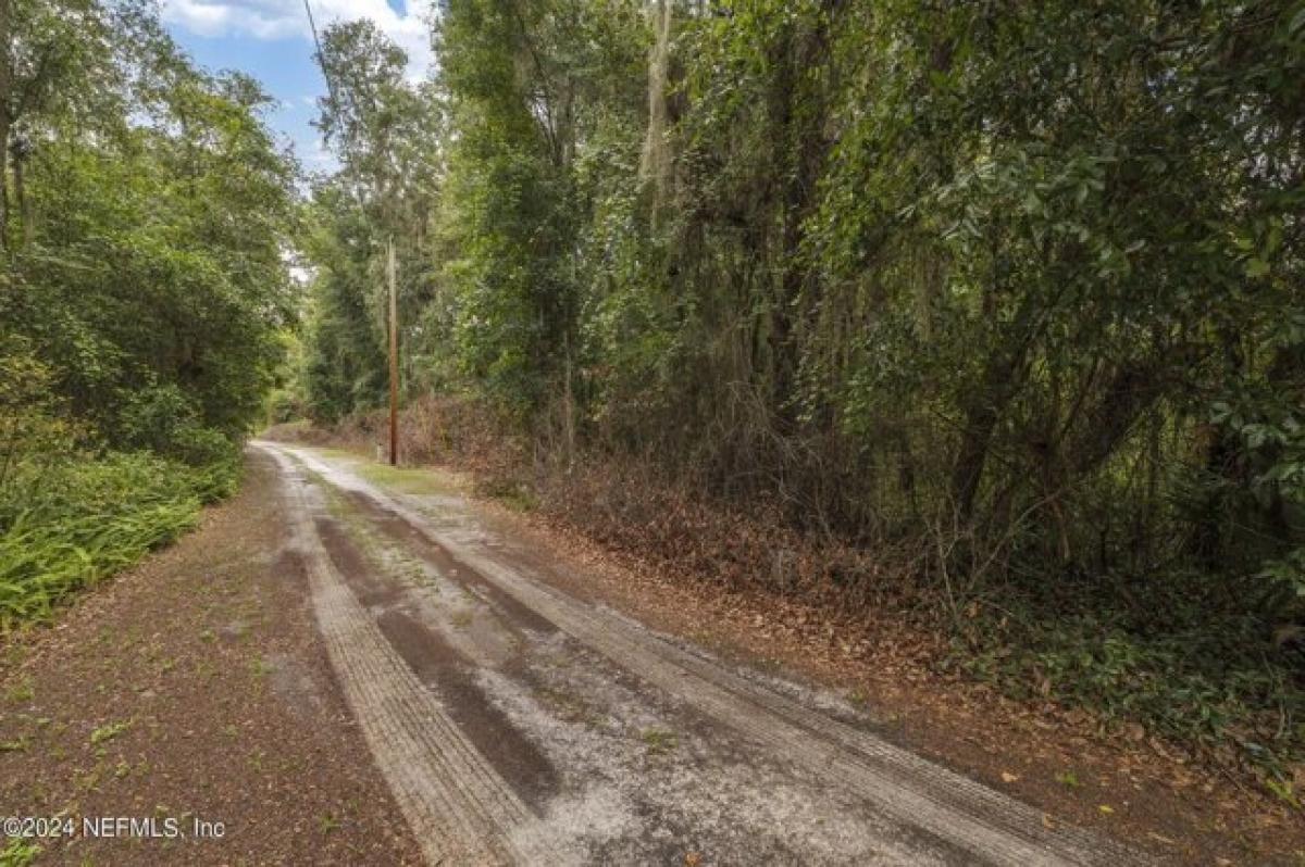 Picture of Residential Land For Sale in Satsuma, Florida, United States