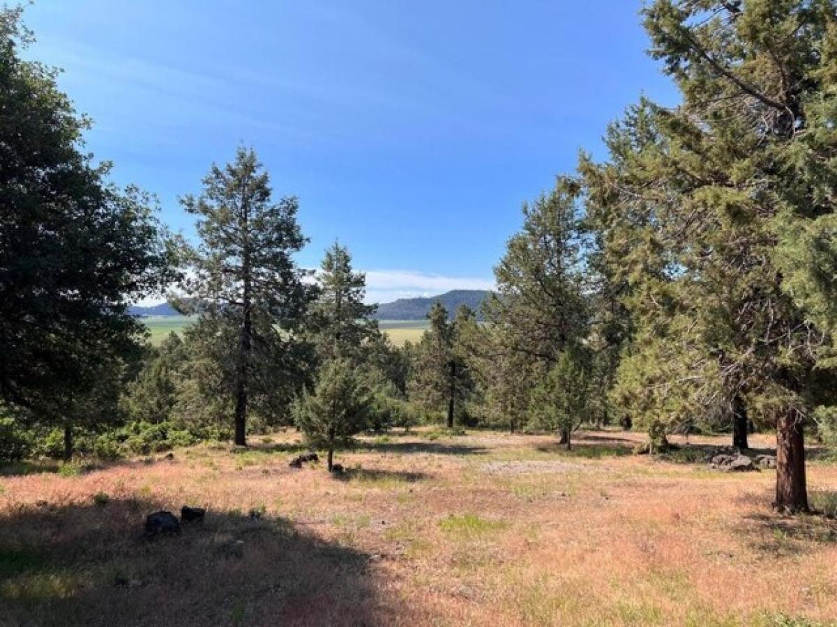 Picture of Residential Land For Sale in Klamath Falls, Oregon, United States