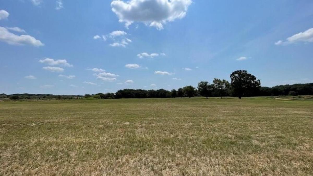 Picture of Residential Land For Sale in Terrell, Texas, United States