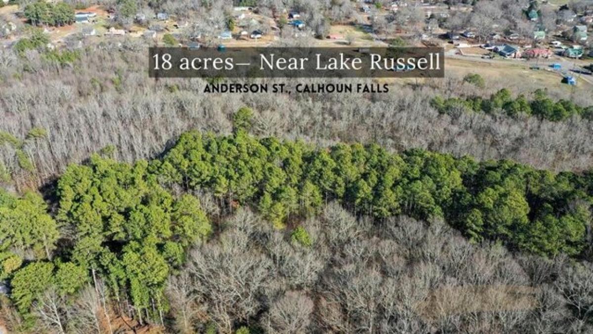 Picture of Residential Land For Sale in Calhoun Falls, South Carolina, United States