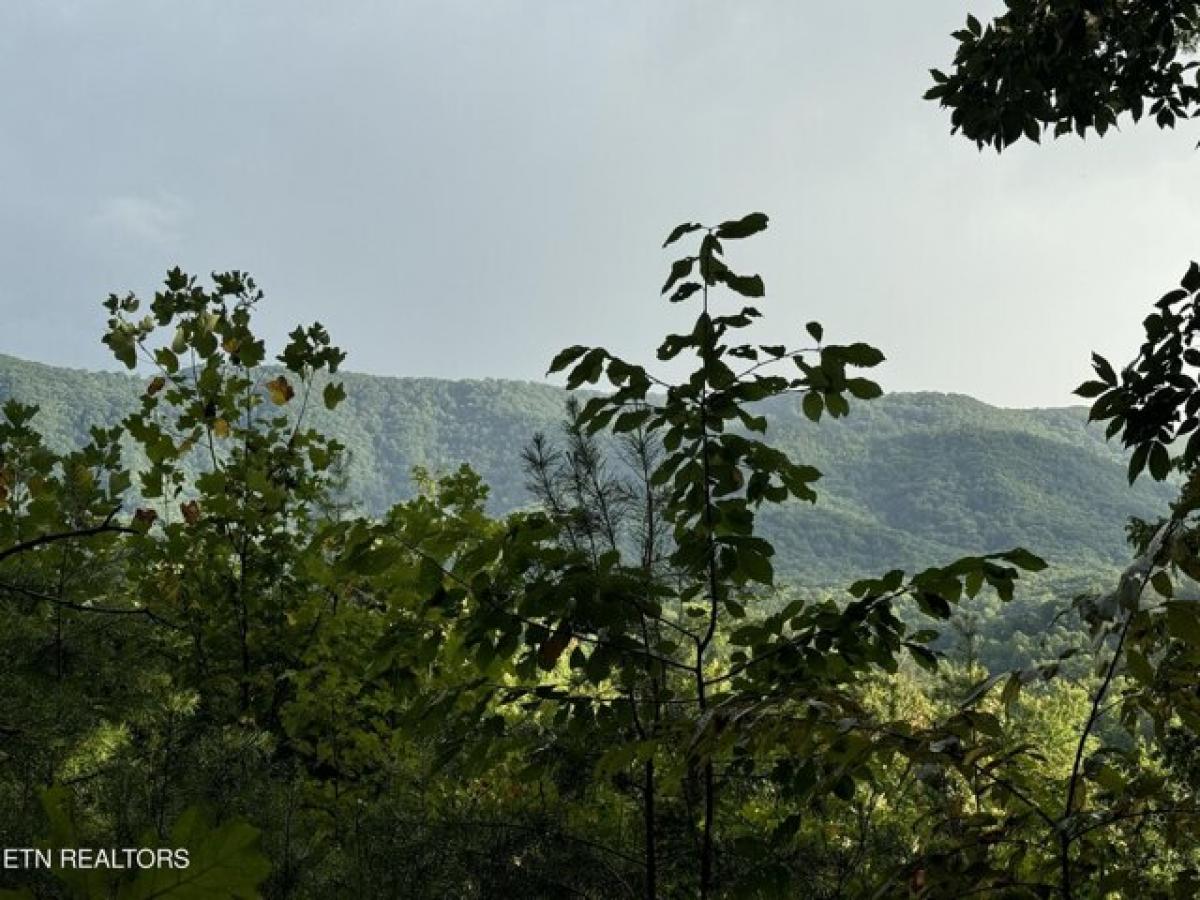 Picture of Residential Land For Sale in Seymour, Tennessee, United States