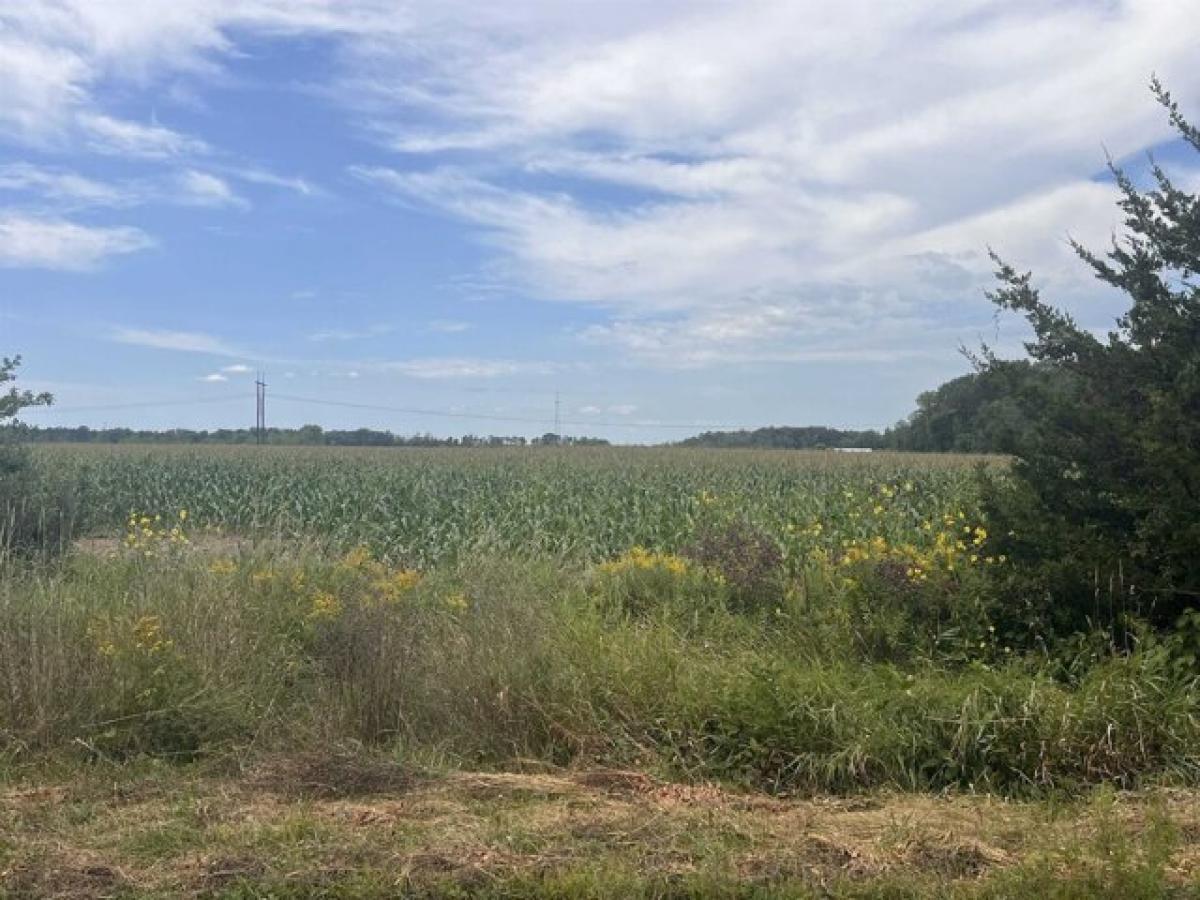 Picture of Residential Land For Sale in Rudolph, Wisconsin, United States