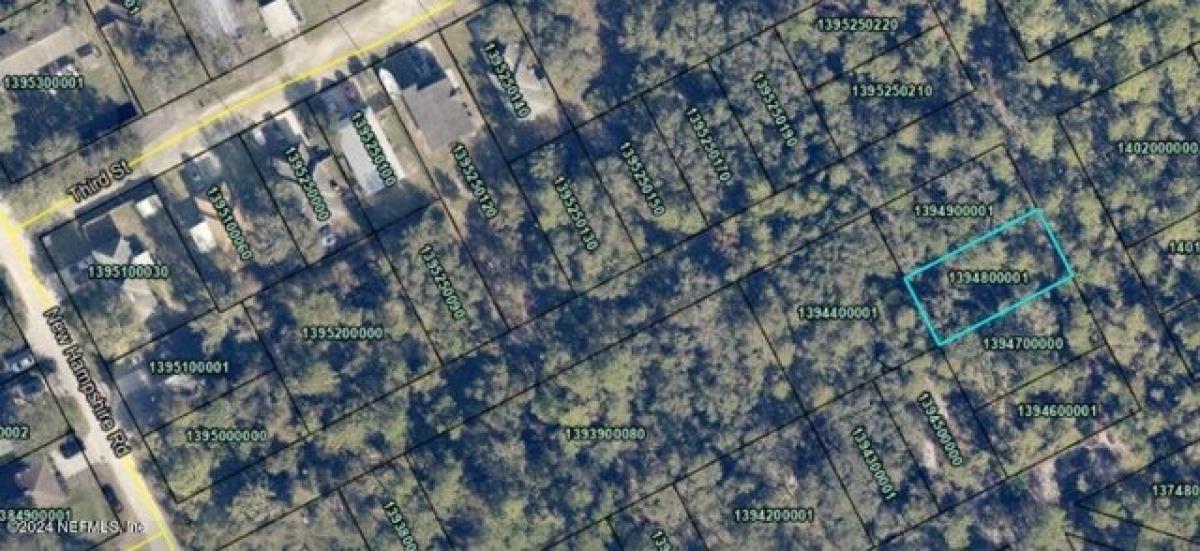 Picture of Residential Land For Sale in Elkton, Florida, United States