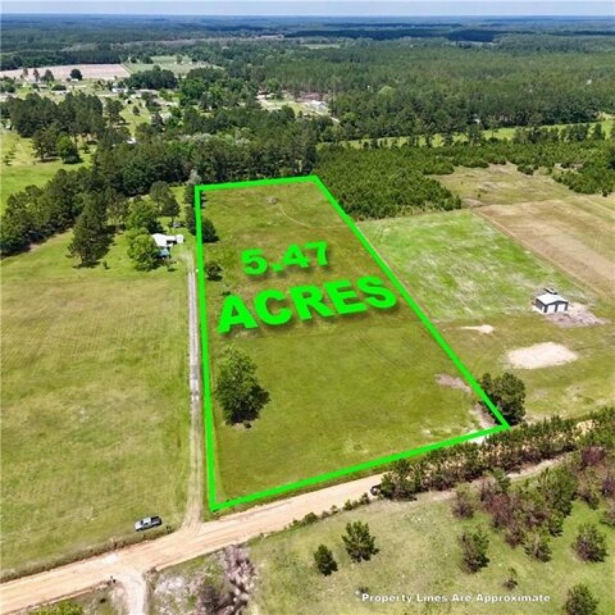 Picture of Residential Land For Sale in Blackshear, Georgia, United States