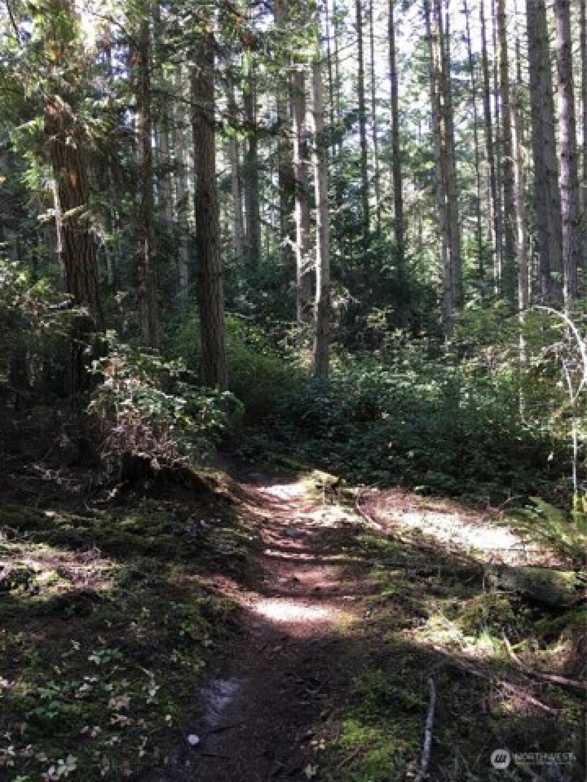 Picture of Residential Land For Sale in Port Townsend, Washington, United States