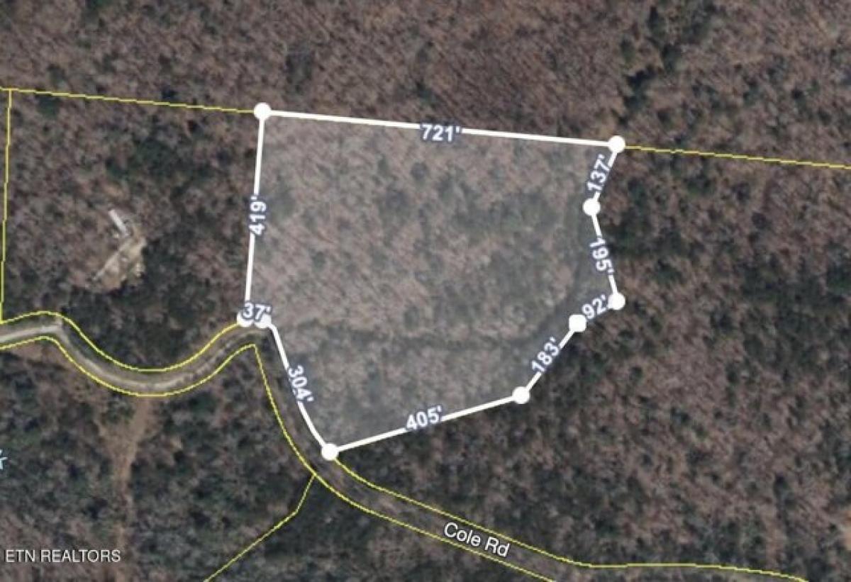 Picture of Residential Land For Sale in Deer Lodge, Tennessee, United States