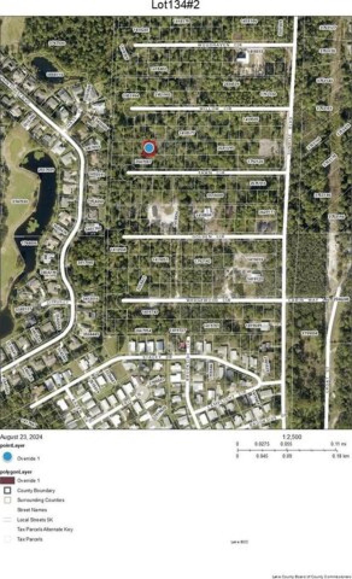 Picture of Residential Land For Sale in Mount Dora, Florida, United States