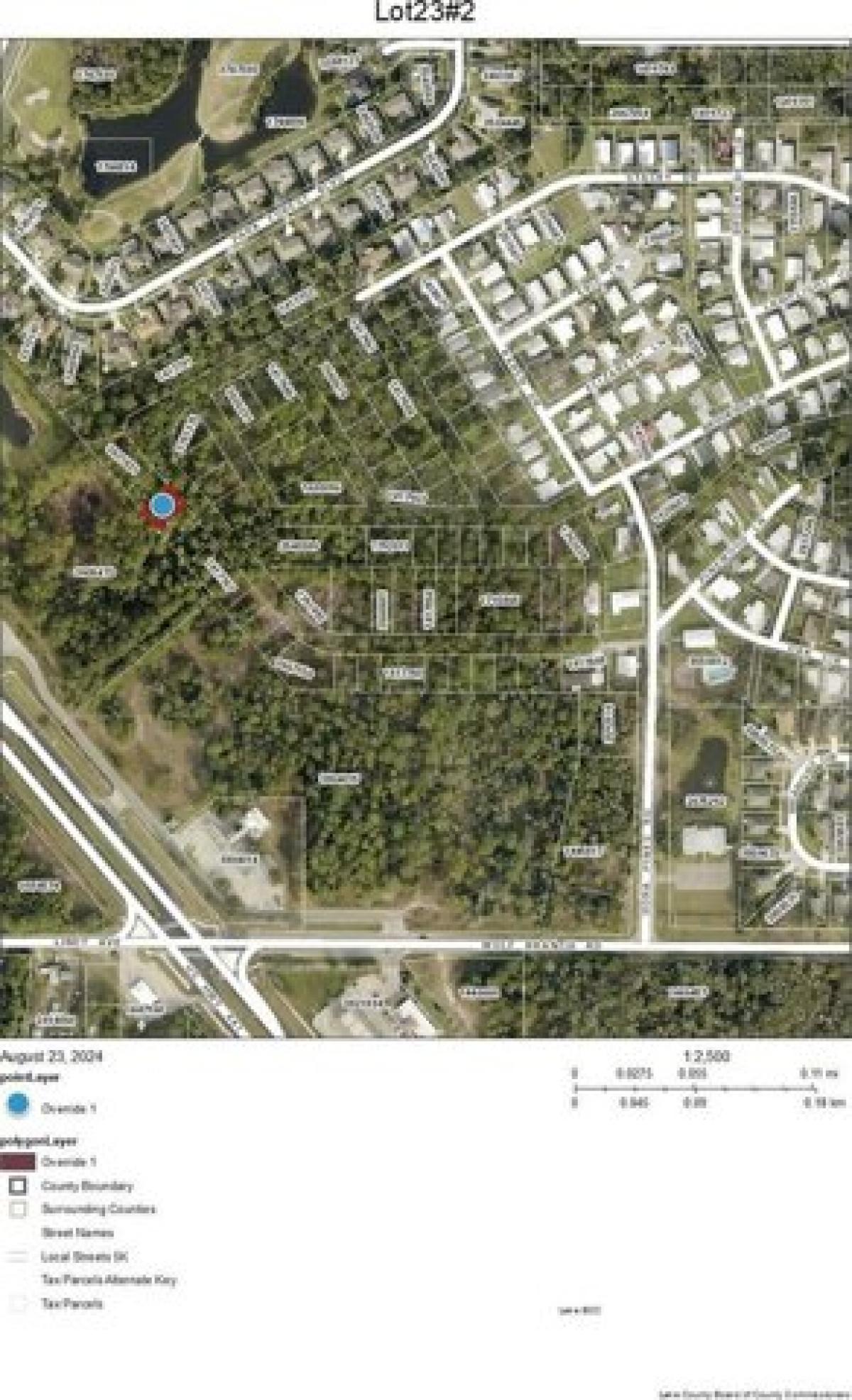 Picture of Residential Land For Sale in Mount Dora, Florida, United States