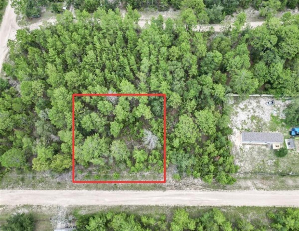 Picture of Residential Land For Rent in Interlachen, Florida, United States