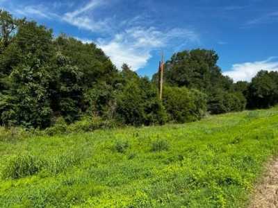 Residential Land For Sale in Fairfield, Texas