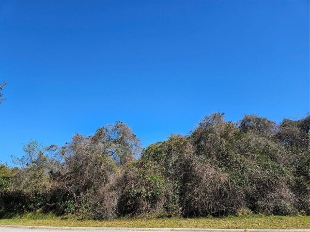 Picture of Residential Land For Sale in Palm Coast, Florida, United States