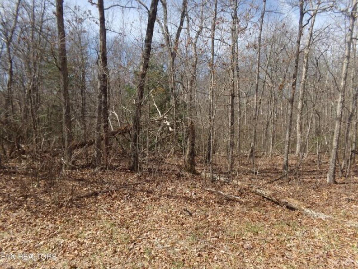 Picture of Residential Land For Rent in Crossville, Tennessee, United States