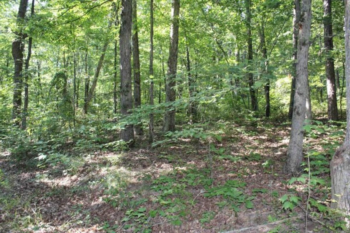 Picture of Residential Land For Sale in Mountain View, Arkansas, United States