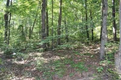 Residential Land For Sale in Mountain View, Arkansas