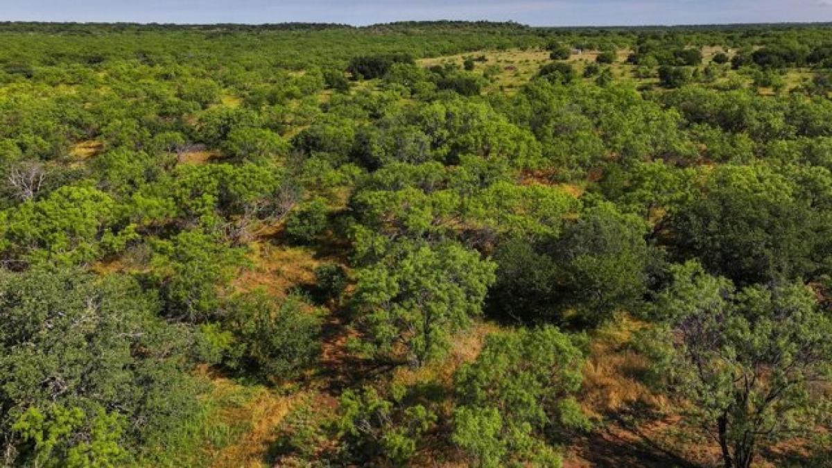 Picture of Residential Land For Sale in Breckenridge, Texas, United States