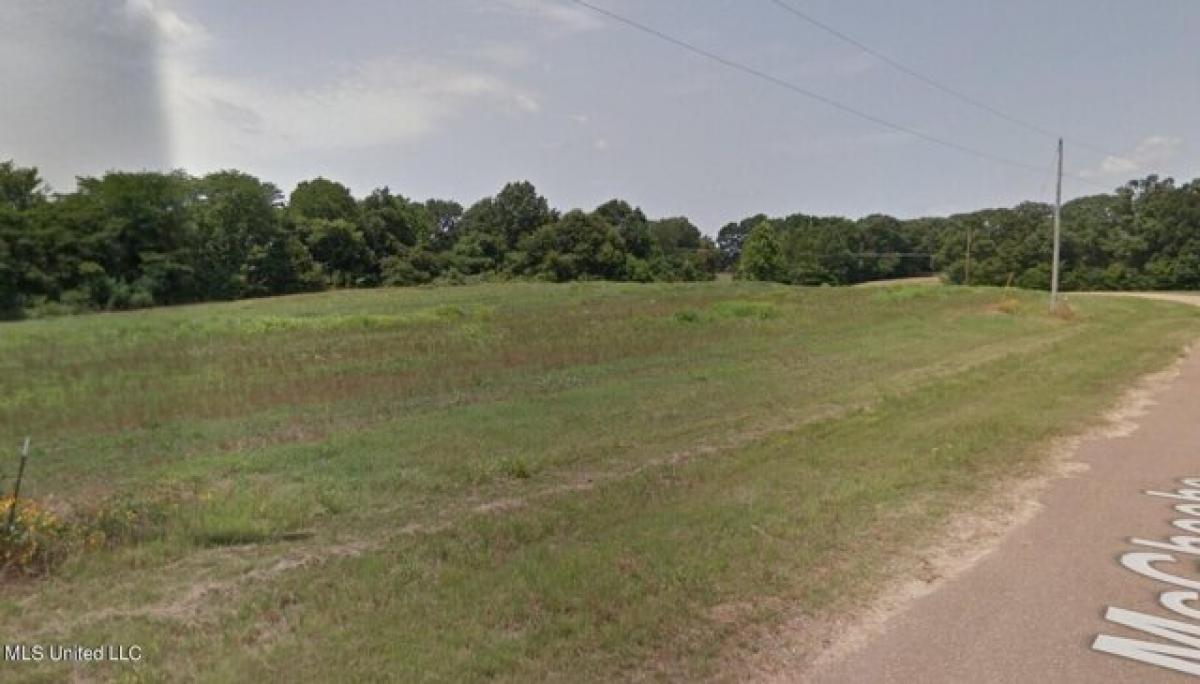 Picture of Residential Land For Sale in Senatobia, Mississippi, United States