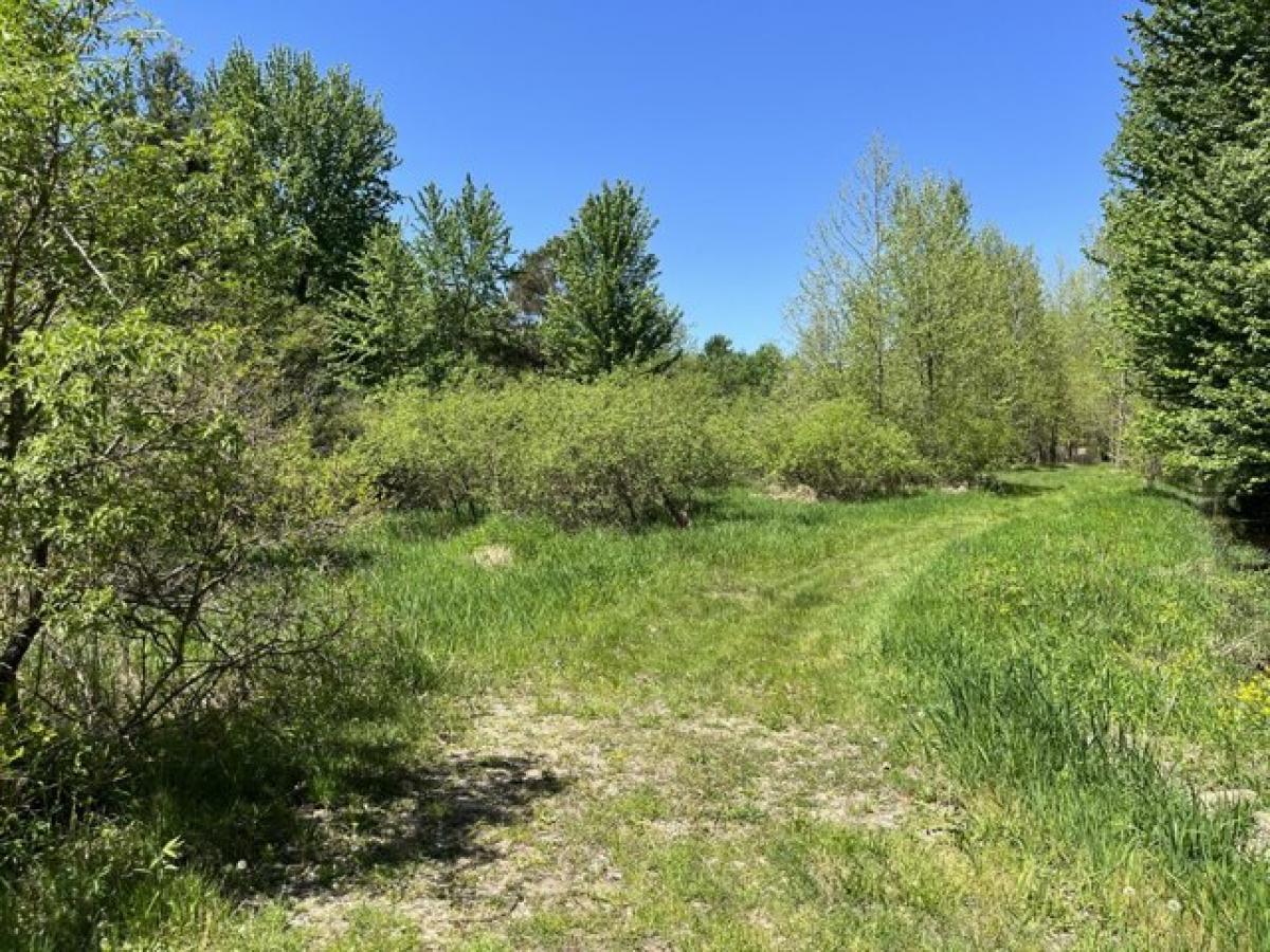 Picture of Residential Land For Sale in Bloomingdale, Michigan, United States