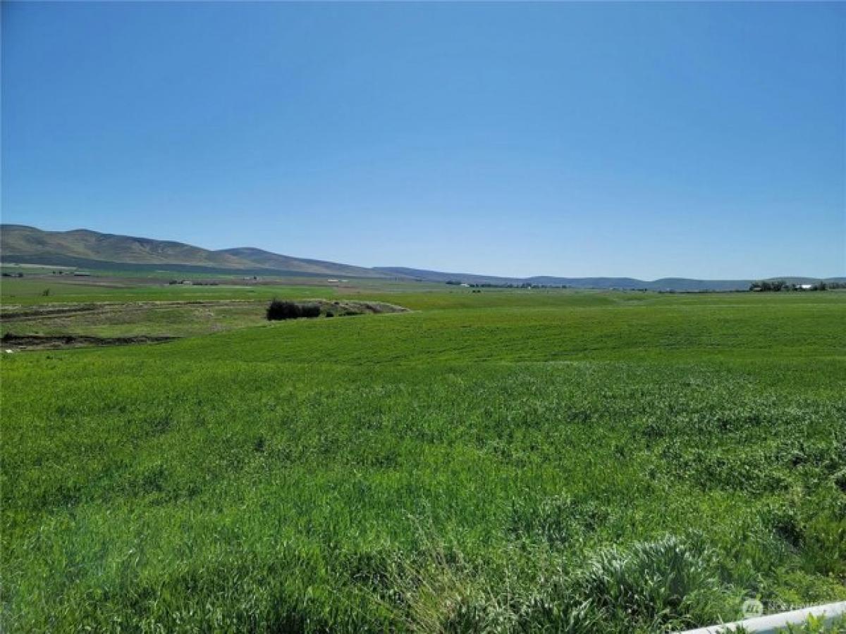 Picture of Residential Land For Sale in Ellensburg, Washington, United States