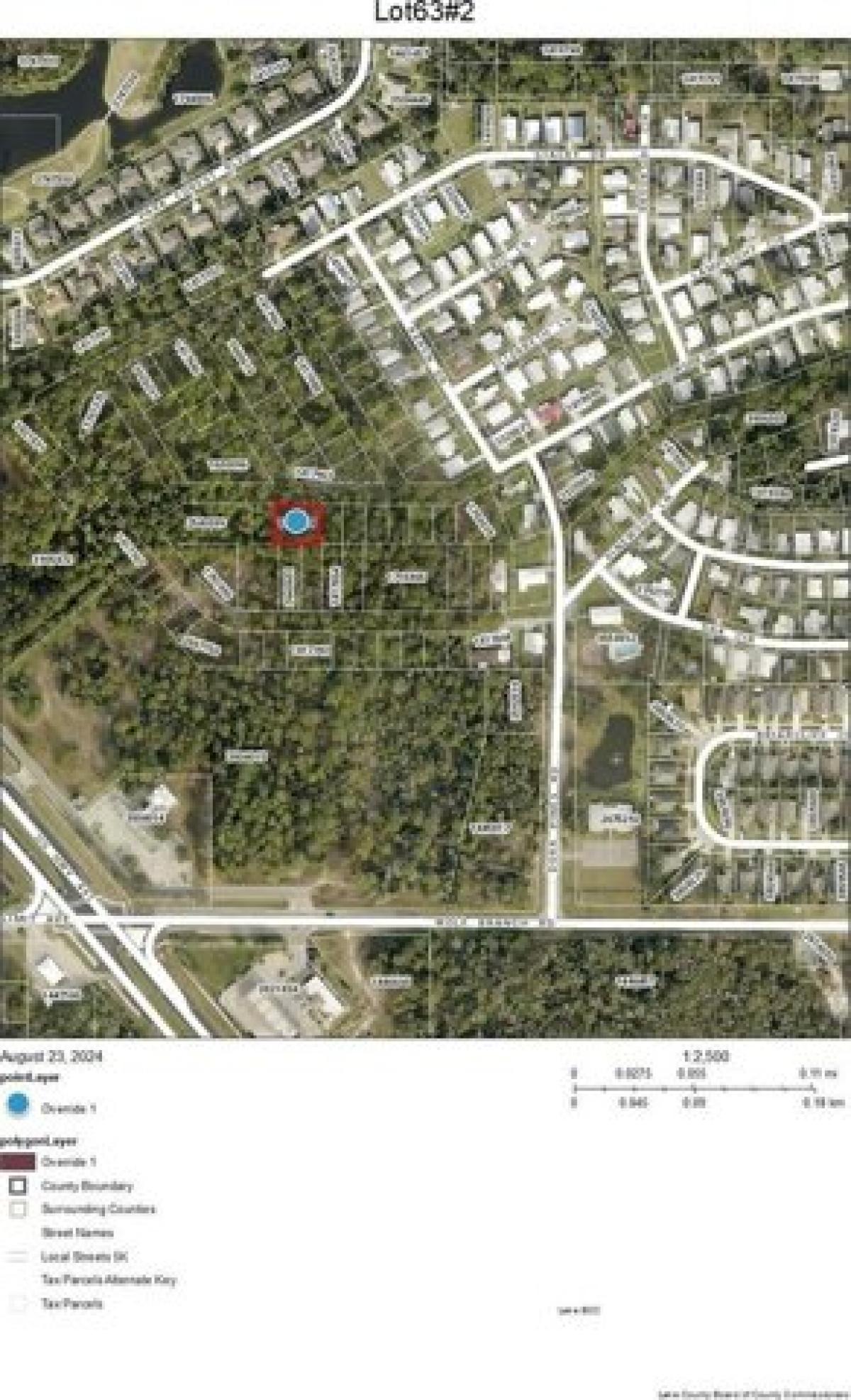 Picture of Residential Land For Sale in Mount Dora, Florida, United States