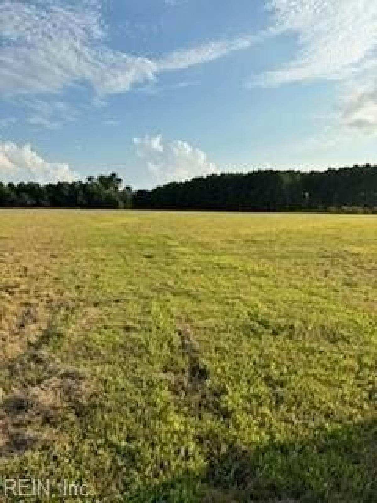 Picture of Residential Land For Sale in Suffolk, Virginia, United States