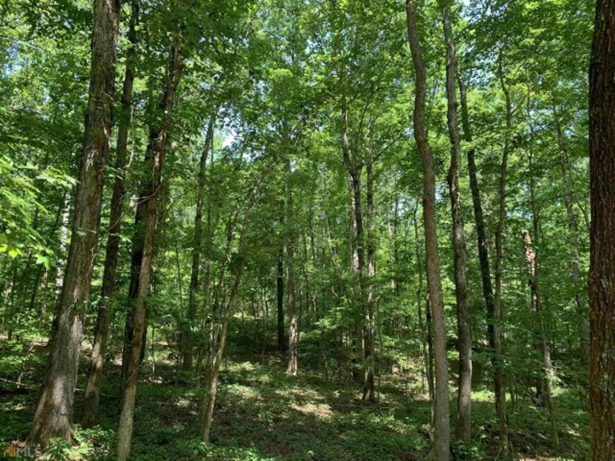 Picture of Residential Land For Sale in Franklin, Georgia, United States