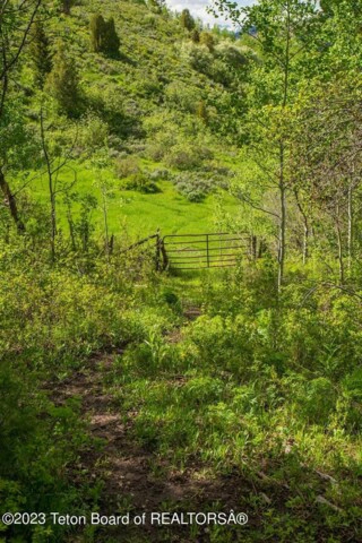 Picture of Residential Land For Sale in Jackson, Wyoming, United States