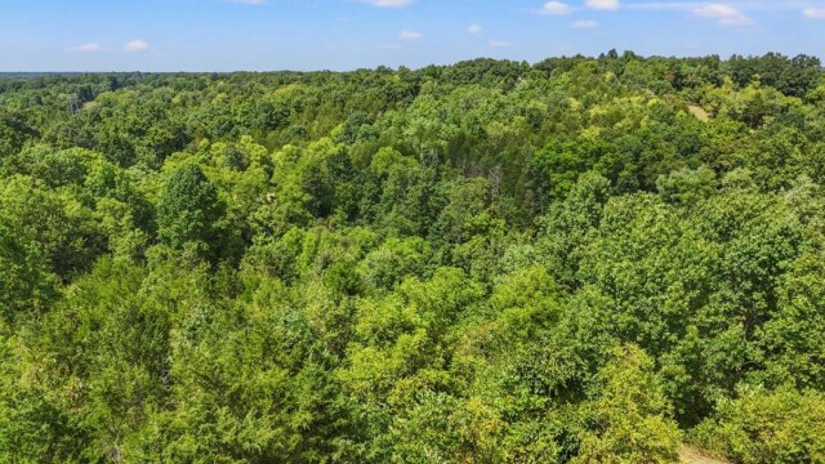 Picture of Residential Land For Sale in Corinth, Kentucky, United States