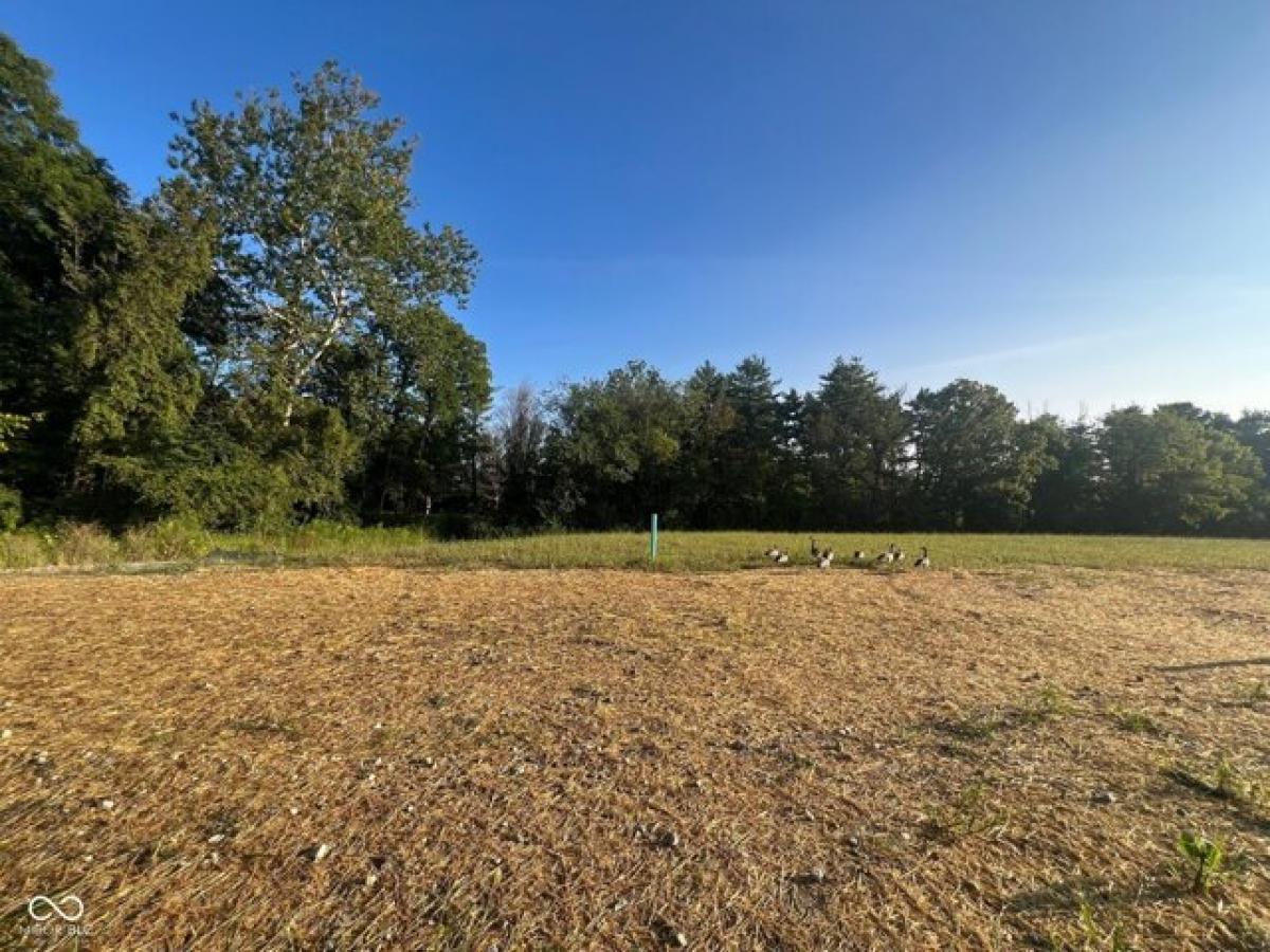 Picture of Residential Land For Sale in Zionsville, Indiana, United States