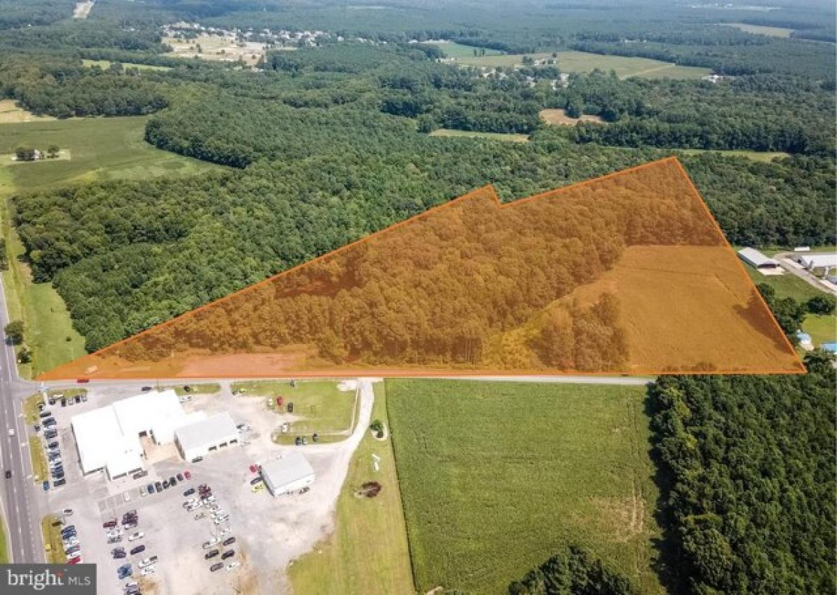 Picture of Residential Land For Sale in Pocomoke City, Maryland, United States