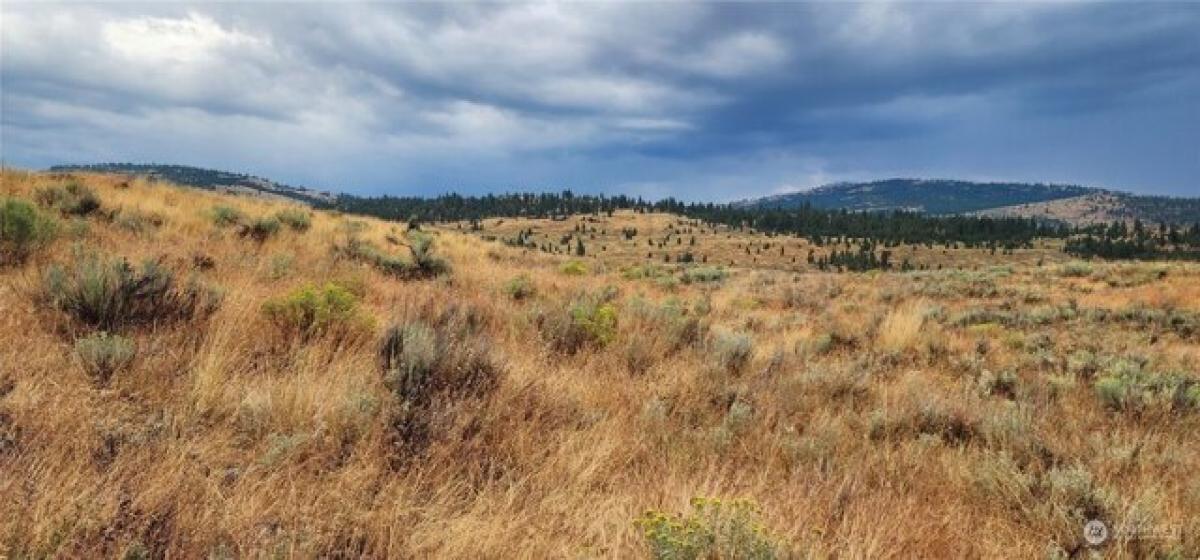 Picture of Residential Land For Sale in Tonasket, Washington, United States