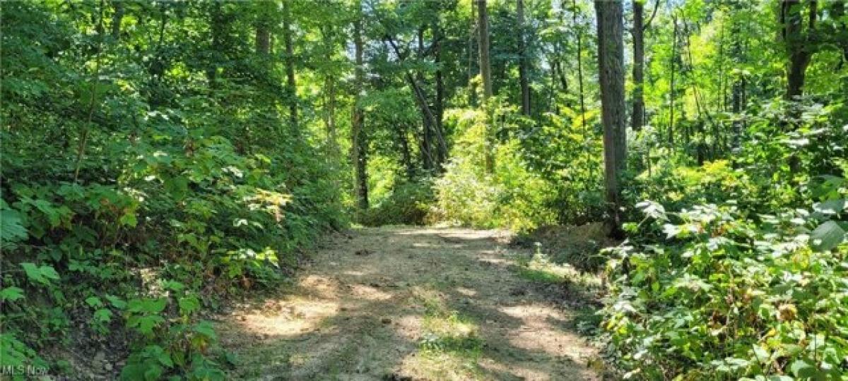 Picture of Residential Land For Sale in Zanesville, Ohio, United States