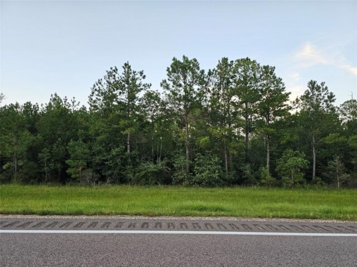 Picture of Residential Land For Sale in Kountze, Texas, United States