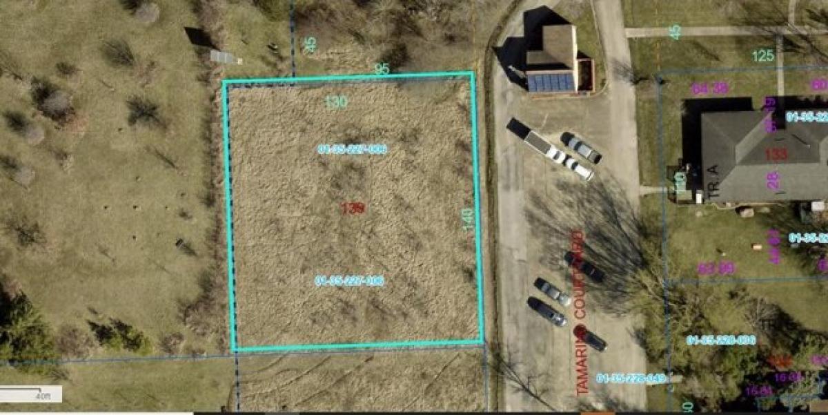 Picture of Residential Land For Sale in Cabery, Illinois, United States