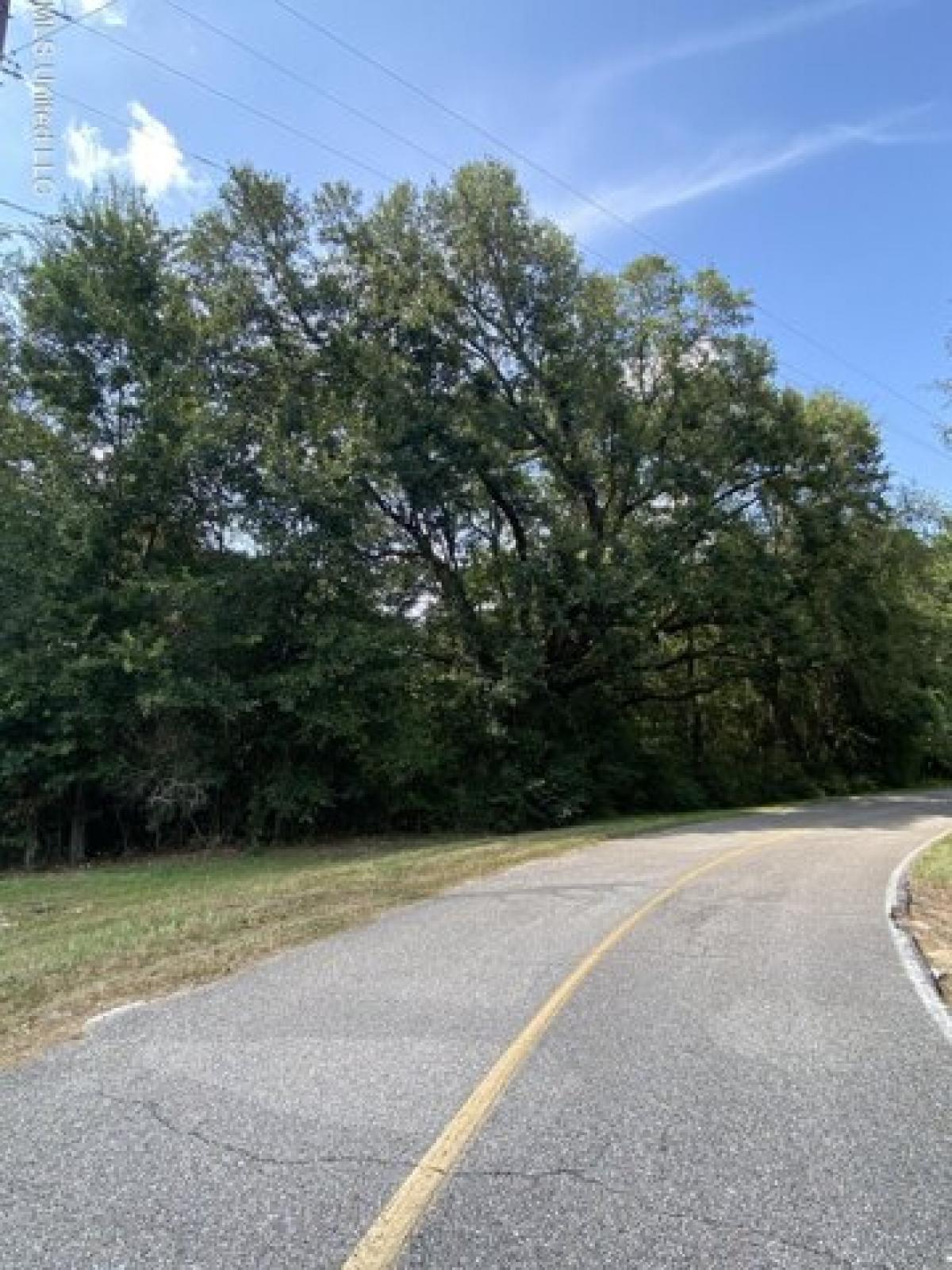 Picture of Residential Land For Rent in Carriere, Mississippi, United States