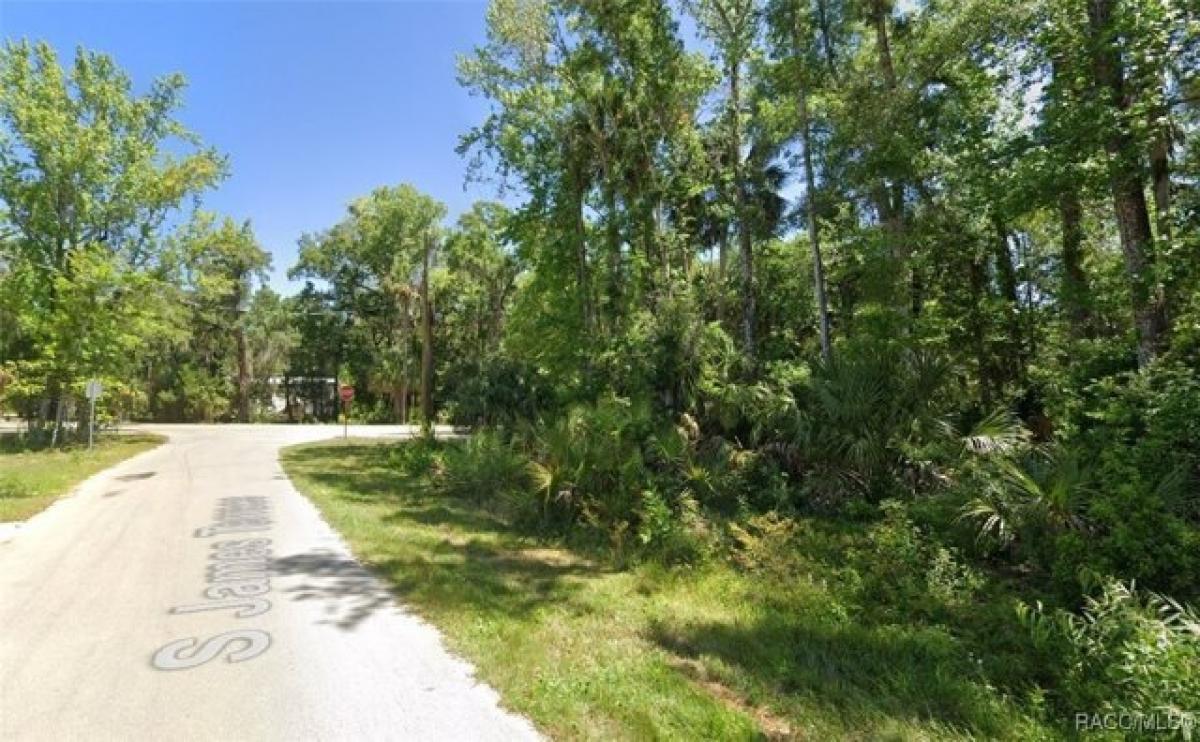 Picture of Residential Land For Sale in Homosassa, Florida, United States