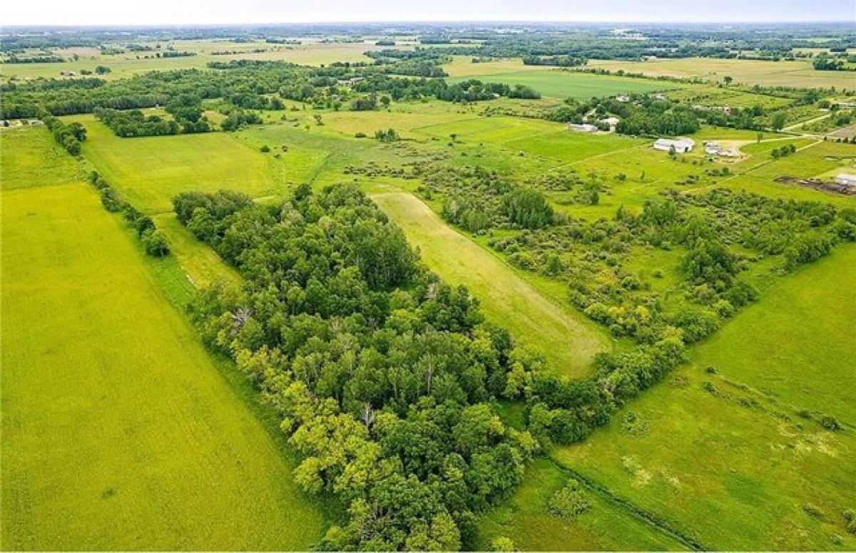 Picture of Residential Land For Sale in Foreston, Minnesota, United States