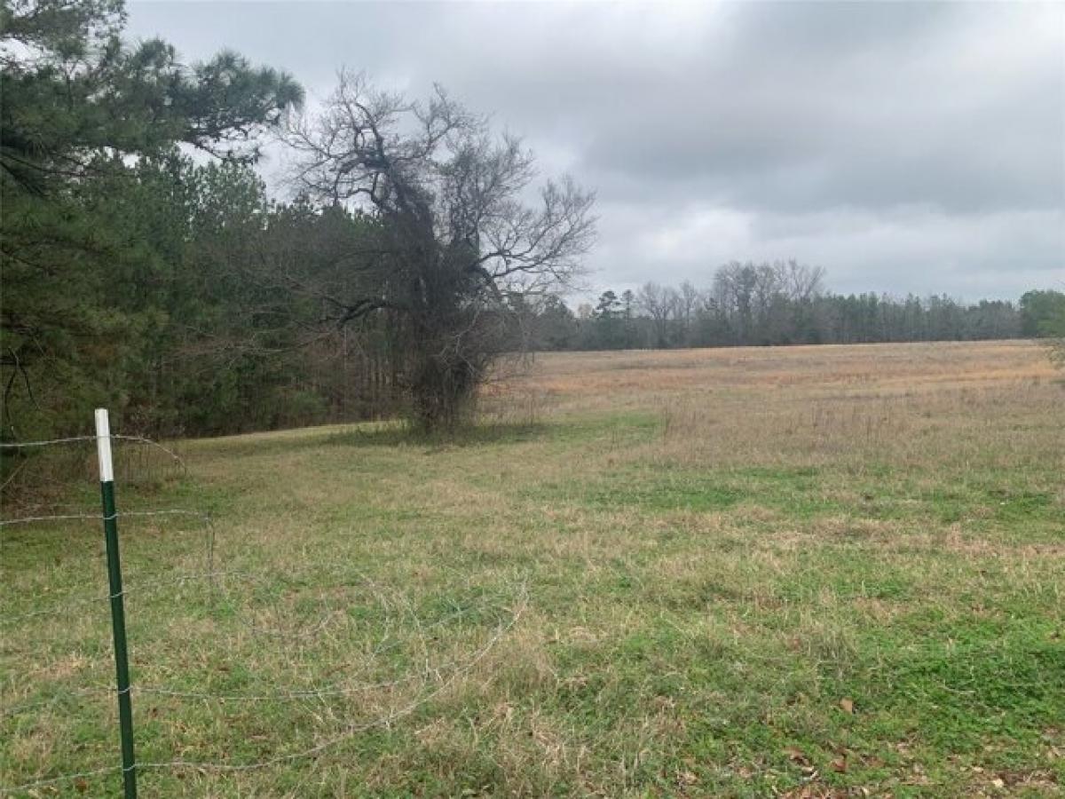 Picture of Residential Land For Sale in Overton, Texas, United States