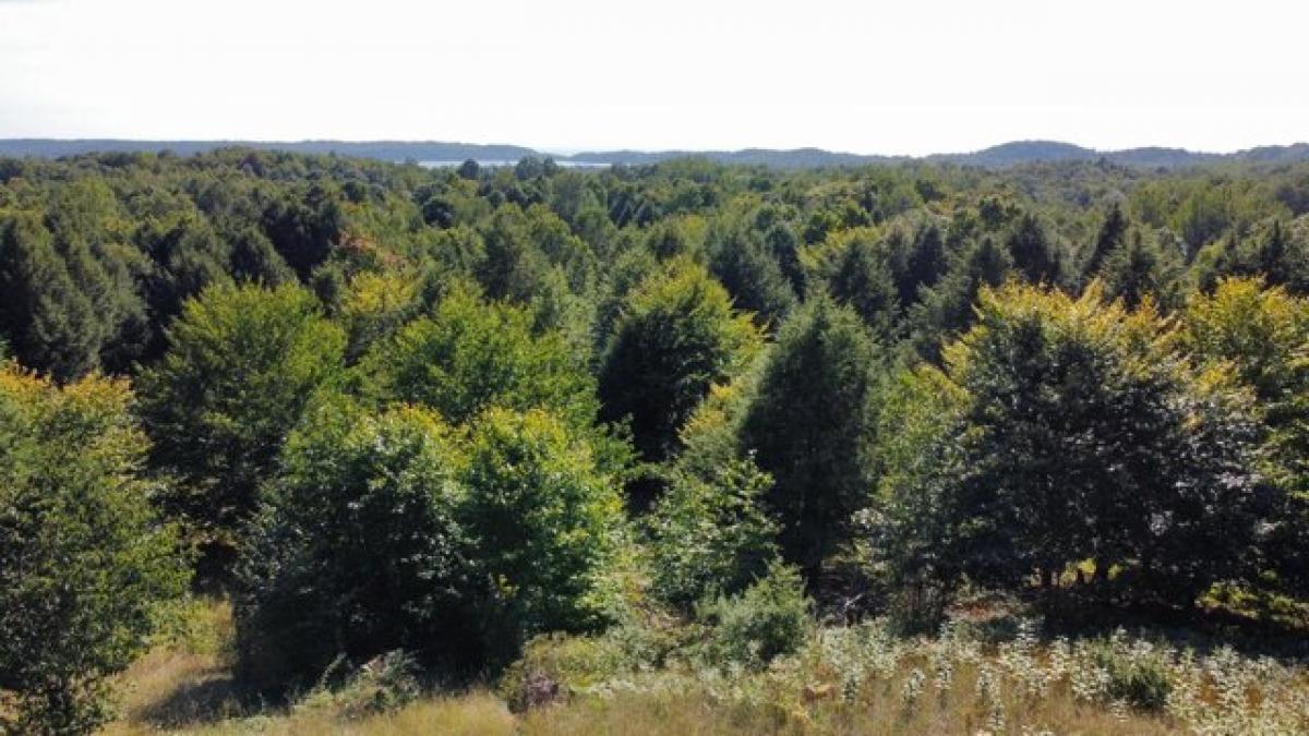 Picture of Residential Land For Sale in Onekama, Michigan, United States