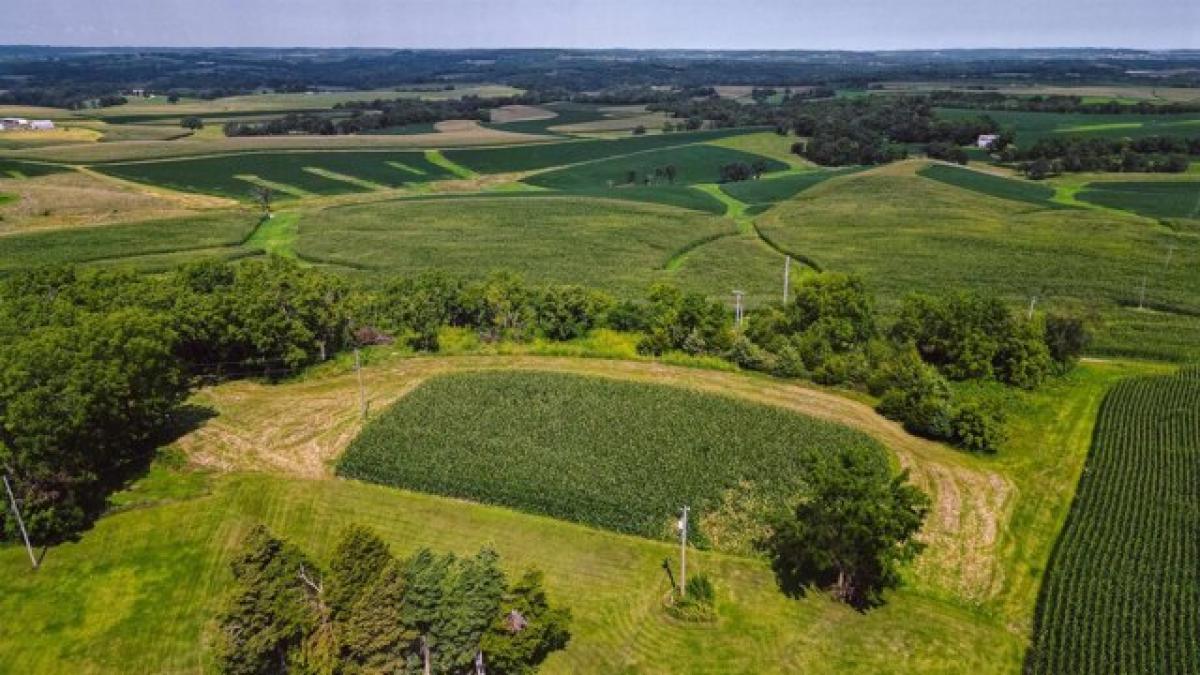 Picture of Residential Land For Sale in Elizabeth, Illinois, United States