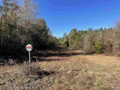 Residential Land For Sale in Jay, Florida