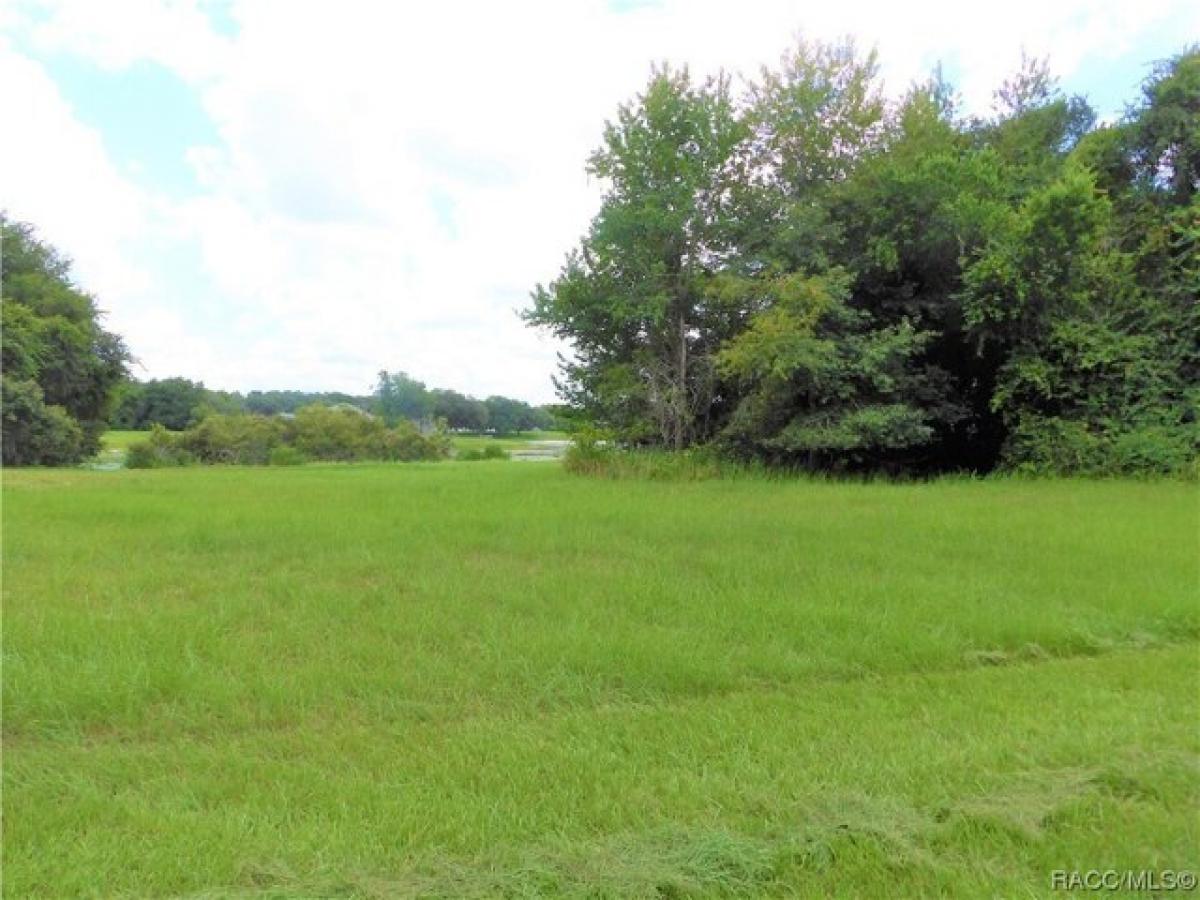 Picture of Residential Land For Sale in Inverness, Florida, United States