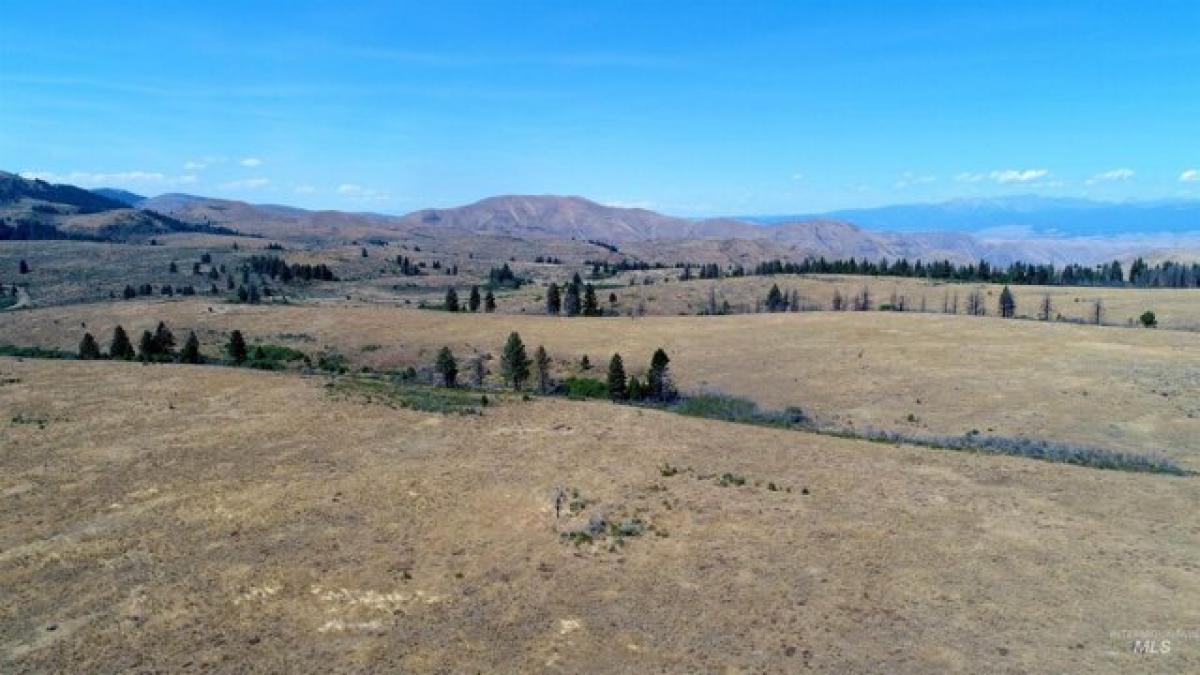 Picture of Residential Land For Sale in Cambridge, Idaho, United States