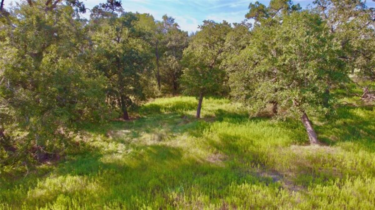 Picture of Residential Land For Sale in Caldwell, Texas, United States