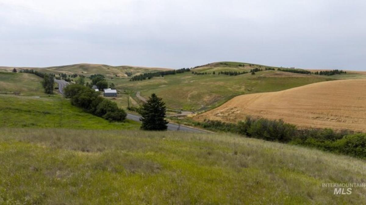 Picture of Residential Land For Sale in Moscow, Idaho, United States