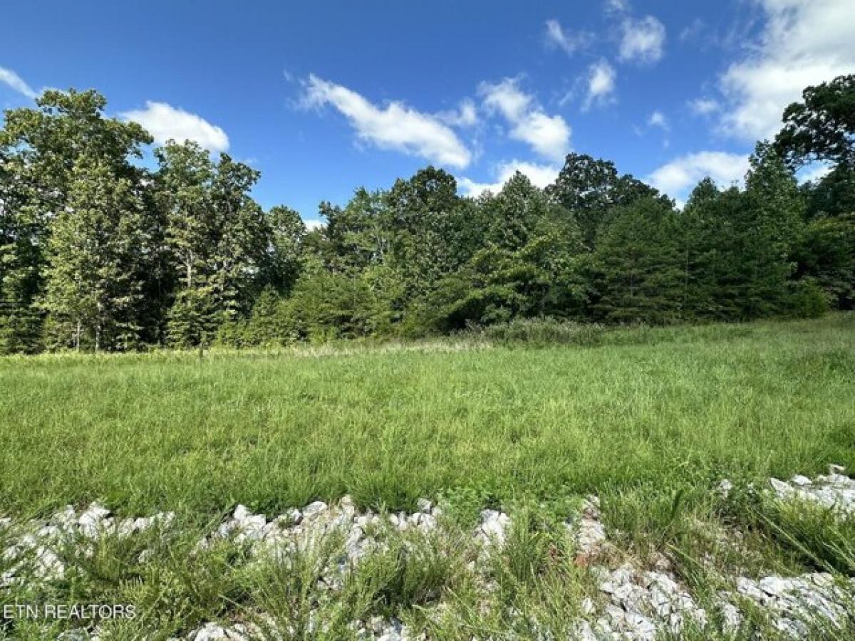 Picture of Residential Land For Sale in La Follette, Tennessee, United States