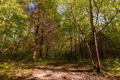 Residential Land For Sale in 