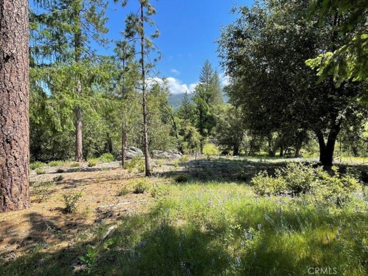 Picture of Residential Land For Sale in Mariposa, California, United States